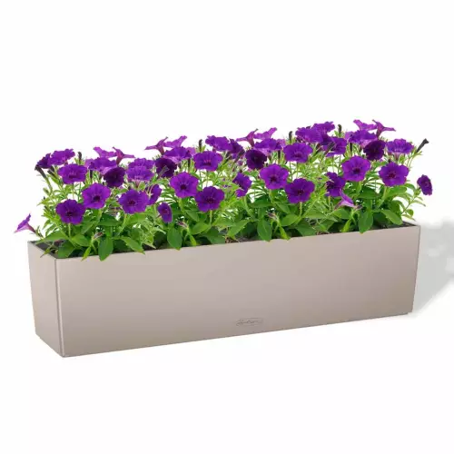 Doniczka Lechuza BALCONERA Color 80 piaskowy brąz z petuniami