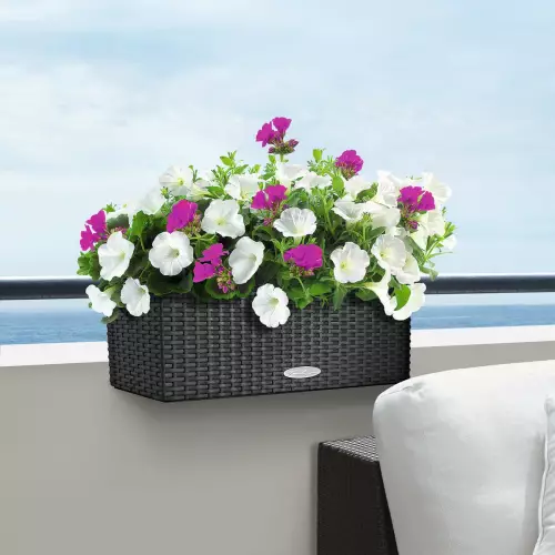 Doniczka Lechuza BALCONERA Cottage 50 w kolorze granitowym