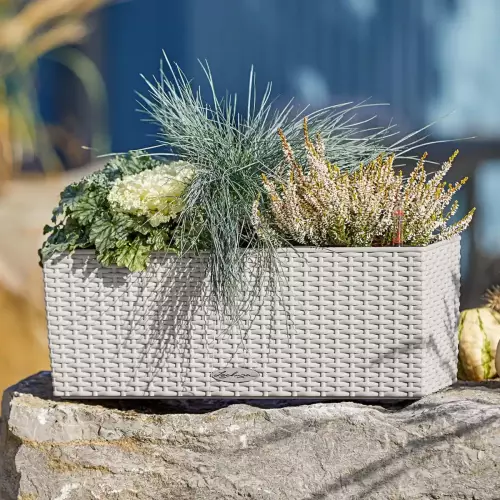 Doniczka Lechuza BALCONERA Cottage 50 w kolorze jasny szary