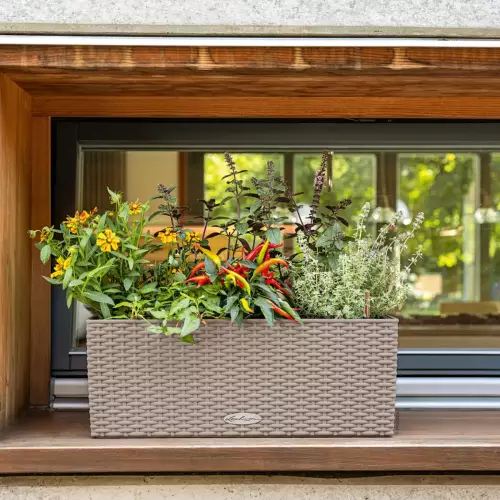 Doniczka Lechuza BALCONERA Cottage 50 w kolorze piaskowy beż