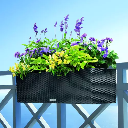 Grafitowo czarna doniczka Lechuza BALCONERA Cottage 80