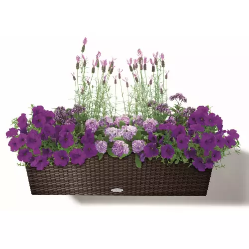 Donica Lechuza BALCONERA Cottage 80 w kolorze mokka