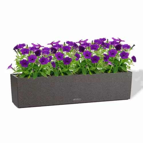 Doniczka Lechuza Balconera Stone 80 grafitowy czarny z petuniami