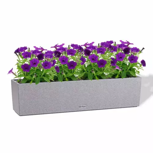 Doniczka Lechuza BALCONERA Stone 80 szary łupek z petuniami