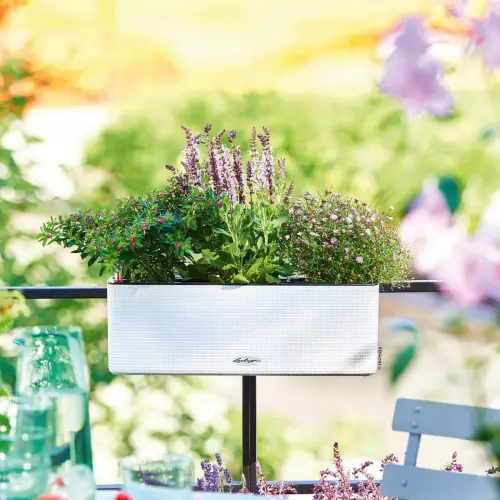 Biała doniczka BALCONISSIMA z szałwią i goździkami