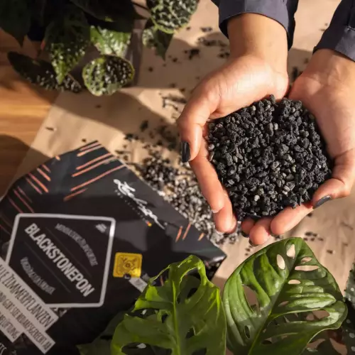 Specjalistyczne podłoże do roślin z węglem drzewnym BLACKSTONEPON
