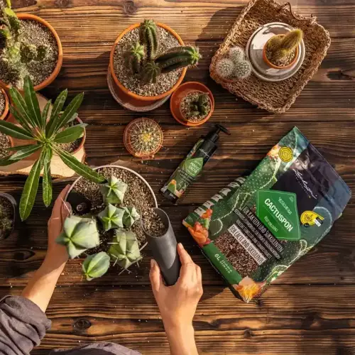 Nawóz w płynie Lechuza Perfect Cactus Fluid 225 ml