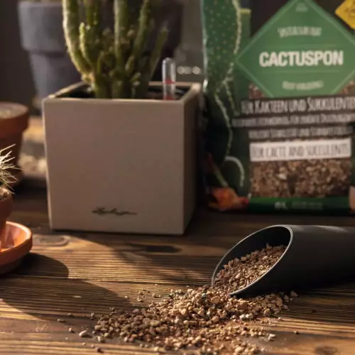 Wysokiej jakości ziemia do kaktusów Lechuza CACTUSPON