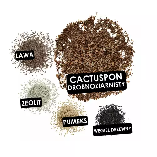 Skład podłoża do kaktusów Lechuza CACTUSPON
