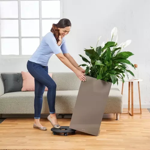 Podstawa z kółkami do donica CANTO - zobacz w akcesoriach Lechuza