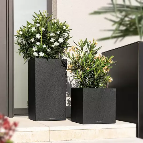 Donice Canto Slatestone Kostka i Kolumna w kolorze ciemny szary