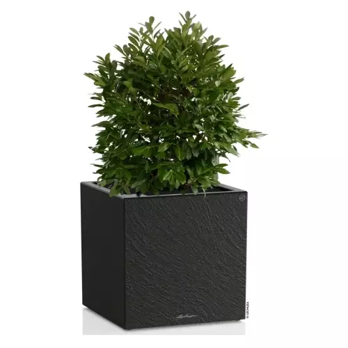 Ciemnoszara donica Lechuza CANTO Slatestone Kostka 40