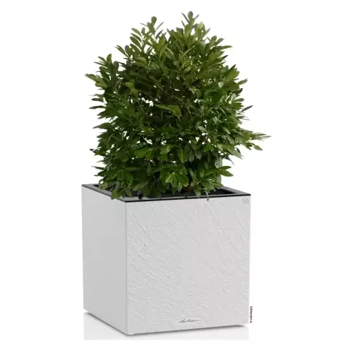 Jasnoszara donica Lechuza CANTO Slatestone Kostka 40