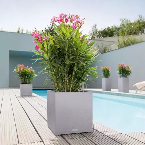 Donica Canto Color Kostka i oleander