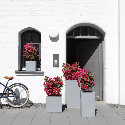 Donice Canto Stone w kolorze szary kamień przed domem