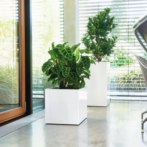 Białe donice CANTO Premium Kolumna i Kostka w salonie