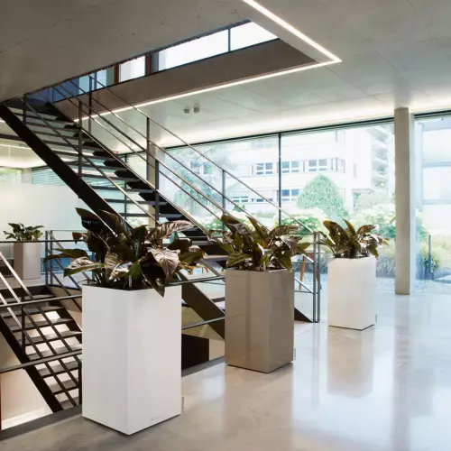 Donice CANTO Premium w hallu