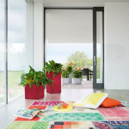 Czerwone donice CANTO Premium w domu