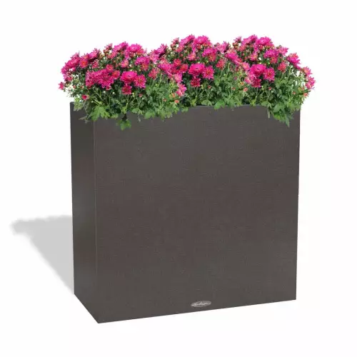 Donica Lechuza CANTO Stone 80 grafitowy czarny z chryzantemami