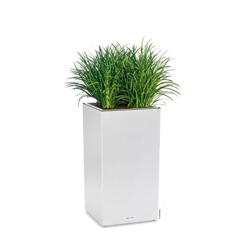 Trawa w białej donicy kolumna Lechuza Canto Stone 30 LED