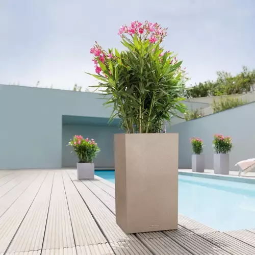 Donica Canto Stone Kolumna 40 w kolorze pisakowy beż