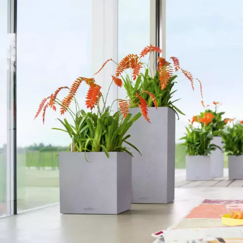 Doniczki Canto Stone Kostka i Kolumna 30 w kolorze szary kamień