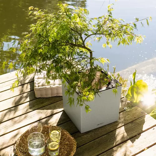 Doniczki Canto Stone Kolumna i Kostka na tarasie