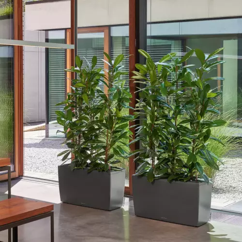 Antracytowa donica Cararo w salonie