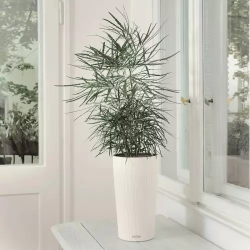 Biała doniczka Cilindro Color 23 na stole