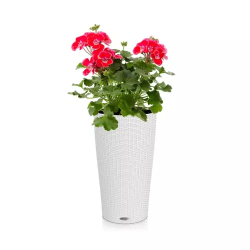 Donica Lechuza Cilindro w kolorze białym z pelargonią