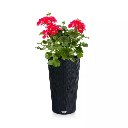 Donica Lechuza Cilindro w kolorze czarnym z pelargonią