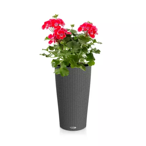 Donica Lechuza Cilindro w kolorze granitowym z pelargonią