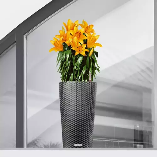 Cilindro Cottage w odsłonie jasnego granitu w aranżacji