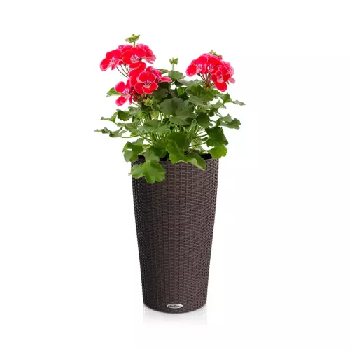 Donica Lechuza Cilindro w kolorze kawy z mlekiem z pelargonią