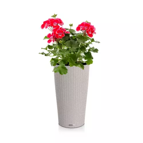 Donica Lechuza Cilindro w kolorze piaskowego brązu z pelargonią