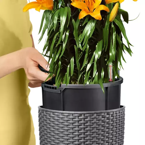 Wkład donicy Lechuza Cottage 32