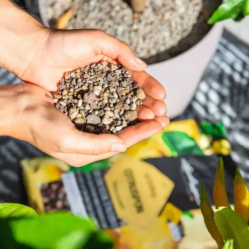 Specjalna ziemia do cytrusów Lechuza CITRUSPON