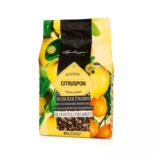 Specjalne podłoże dla cytrusów CITRUSPON 25 litrów