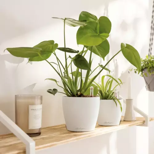 Białe doniczki Classico Color 14 i Classico Color 12