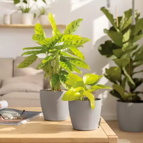 Doniczki Classico Color 14 i Classico Color 12 w kolorze piaskowy brąz