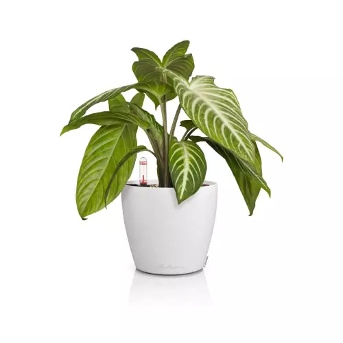 Doniczka Lechuza CLASSICO Color 14 biały