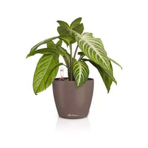 Doniczka Lechuza CLASSICO Color 14 muszkatołowy brąz