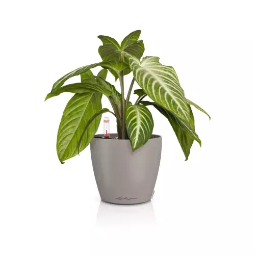 Doniczka Lechuza CLASSICO Color 14 piaskowy brąz