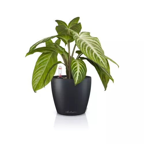 Doniczka Lechuza CLASSICO Color 14 szary łupek