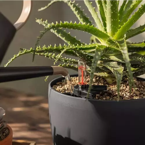 Łatwe podlewanie w CLASSICO Color 21 z systemem nawadniania