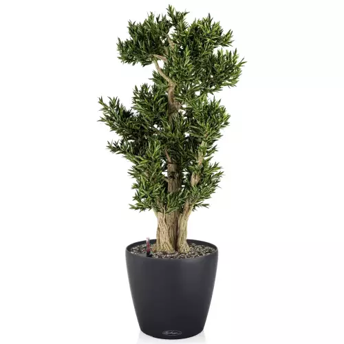 Donica CLASSICO Color 43/40 w kolorze ciemny szary