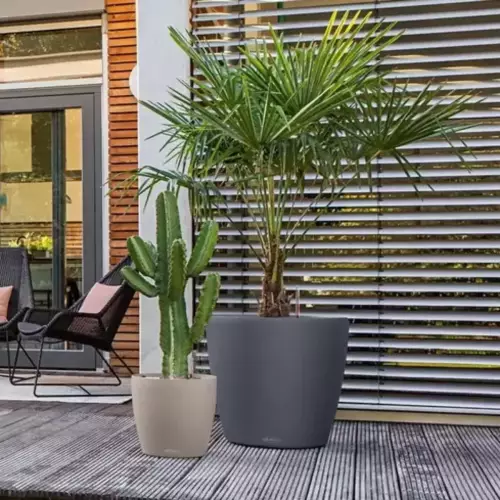 Donica w kolorze ciemny szary z serii CLASSICO Color