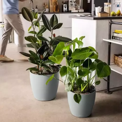 Donice CLASSICO Color 43/40 w kolorze jasny szary