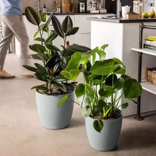 Donice CLASSICO Color w kolorze jasny szary