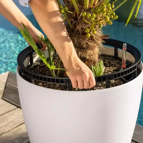 Wyjmowany wkład z uchwytem w donicy Classico Color LS